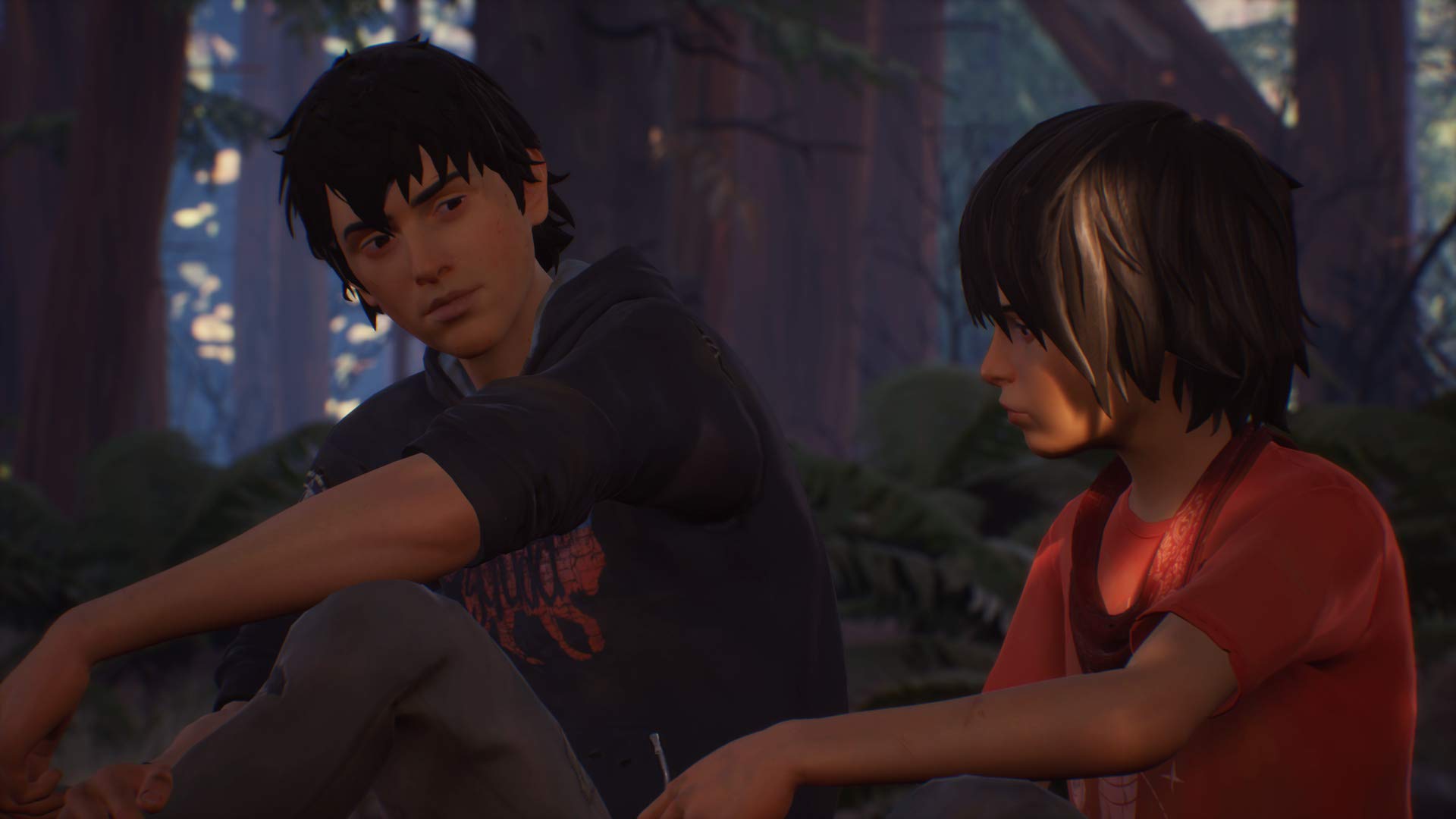 Life is Strange 2 - Complete Season - Steam PC [Online Game Code] - Image 3
