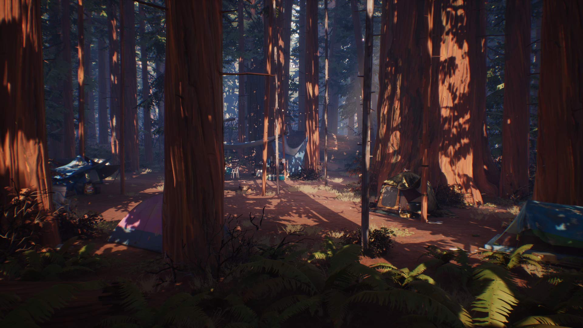 Life is Strange 2 - Complete Season - Steam PC [Online Game Code] - Image 7